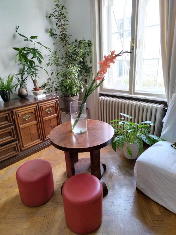 Hostel Monica'S House Belgrad Zewnętrze zdjęcie